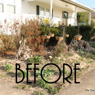 Before shot of landscape -- getting help from spectracide