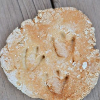 cl5 DIY-Dinosaur-Fossils