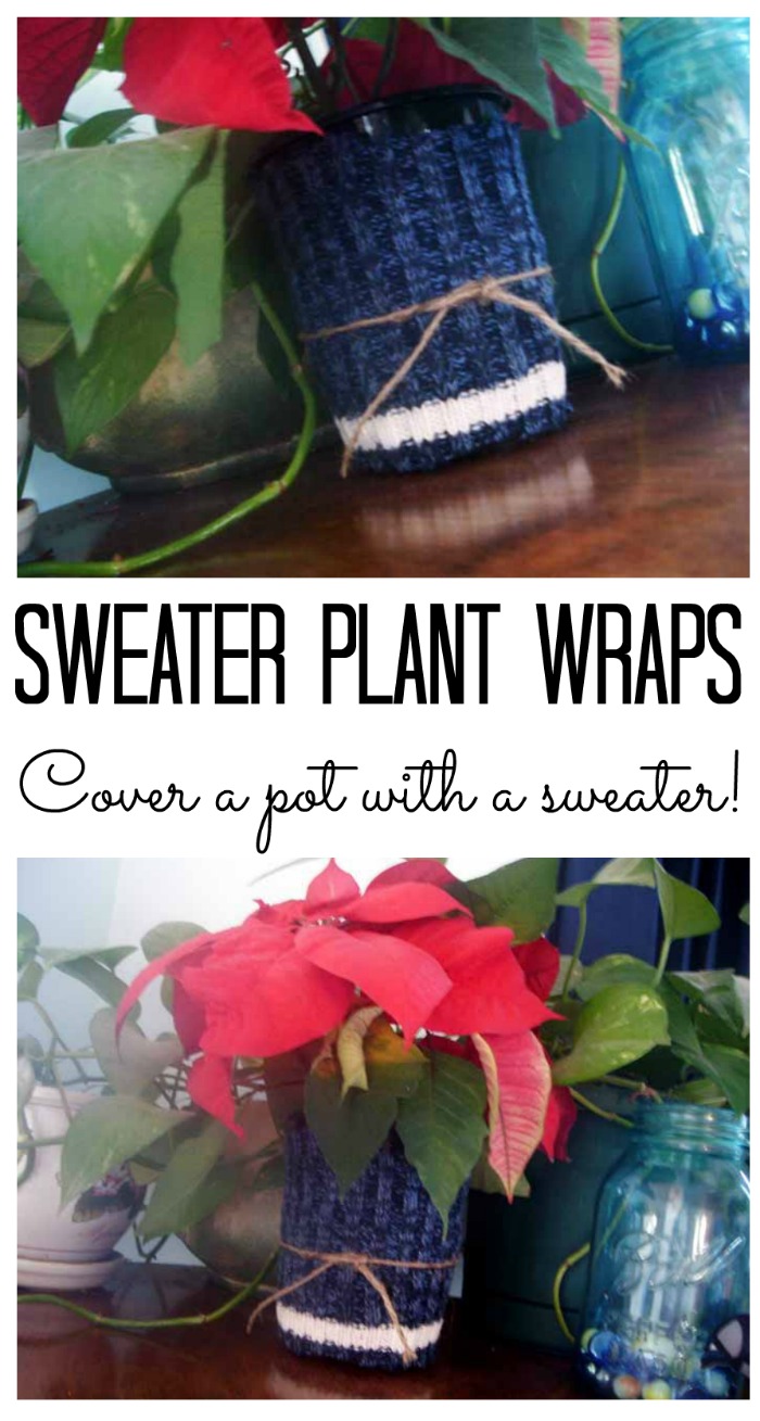 Make these sweater plant wraps in second to cover up any pot!