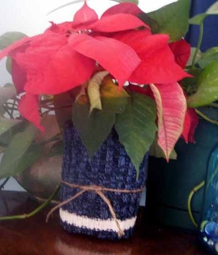 Make these sweater plant wraps in second to cover up any pot!