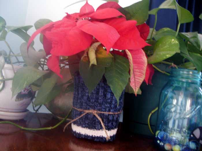 Make these sweater plant wraps in second to cover up any pot!