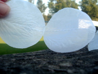 rose petals sewed together