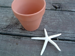 terra cotta planter with starfish laying next to it