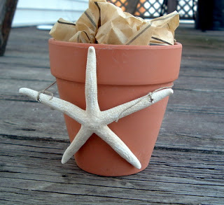 terra cotta pot with starfish on deck