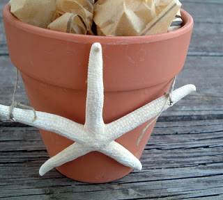 starfish wired on to a terra cotta planter