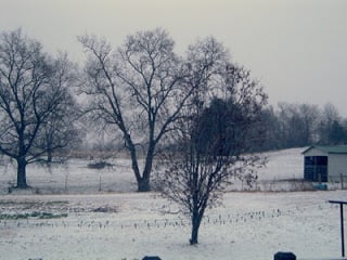 picture of snowy landscape