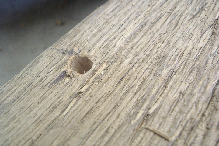 drilling holes in barn wood