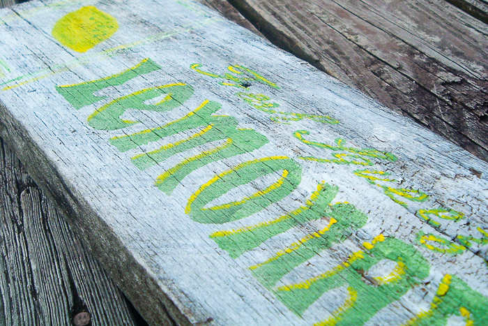 Make your own vintage wood signs with a Cricut machine.  Close up of the green and yellow paint.