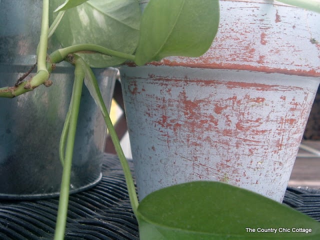 chippy painted terra cotta pot