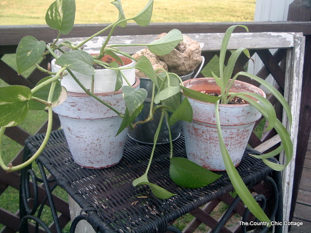 plant stand with potted green plants