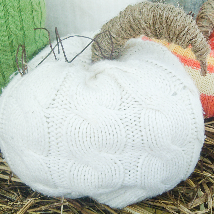 white sweater pumpkin