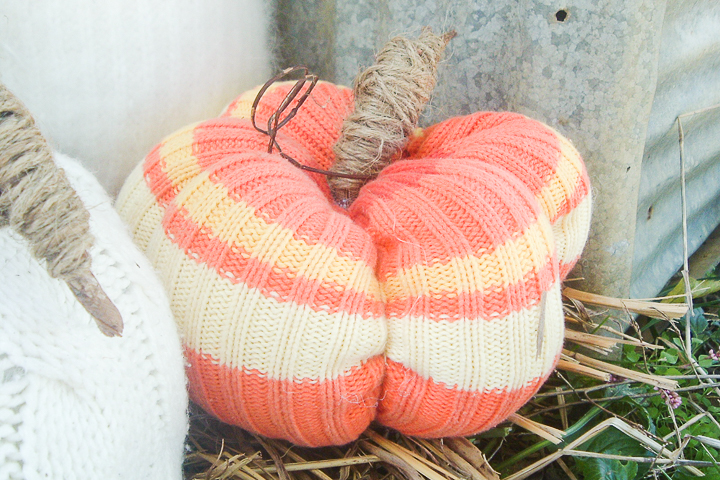 striped sweater pumpkins