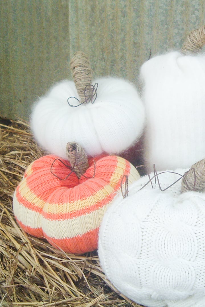 fall pumpkins from sweaters