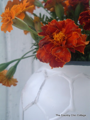 hive vase with orange flowers