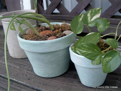 antiqued pots with plants