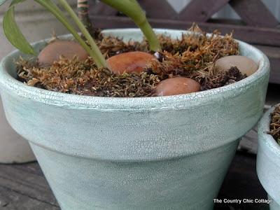 crackled terracotta pots