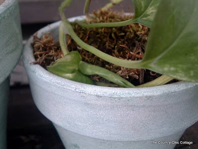 crackled terracotta pots