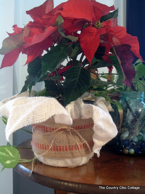 poinsettia wrapped with burlap ribbon