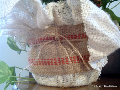 plant wrapped with burlap ribbon