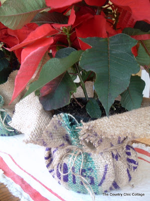 poinsettia wrapped in a burlap coffee bag