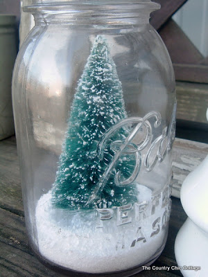 bottlebrush tree in a mason jar
