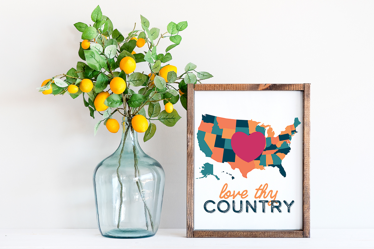 love thy country USA art