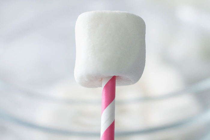 Marshmallow pops are super easy to make, and they're the perfect party treat!