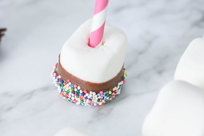 You can add any kind of sprinkles you want to your chocolate dipped marshmallow pops