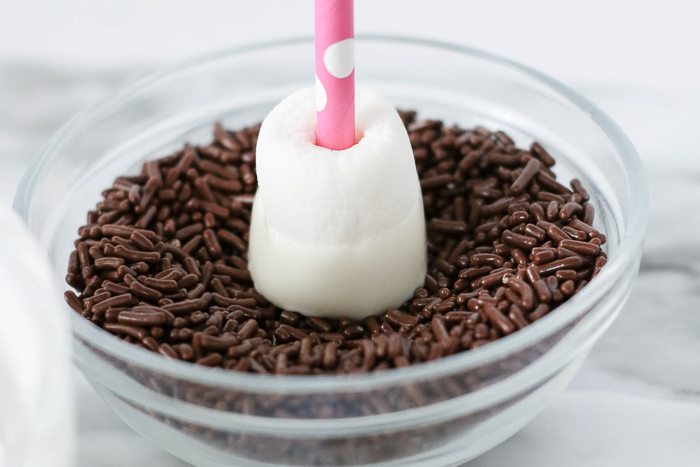 White chocolate dipped marshmallow pops covered in chocolate jimmy sprinkles