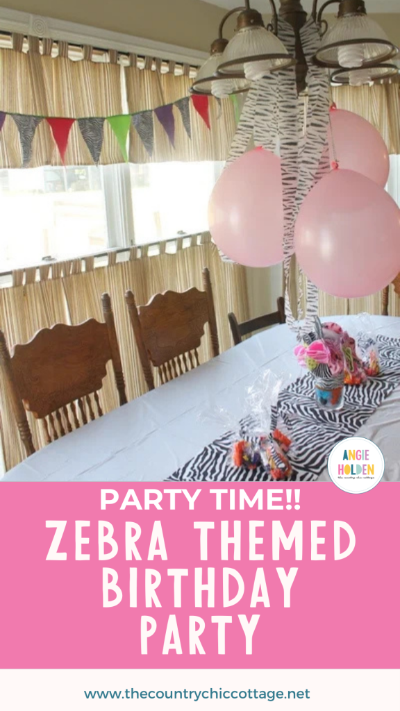 zebra themed birthday party