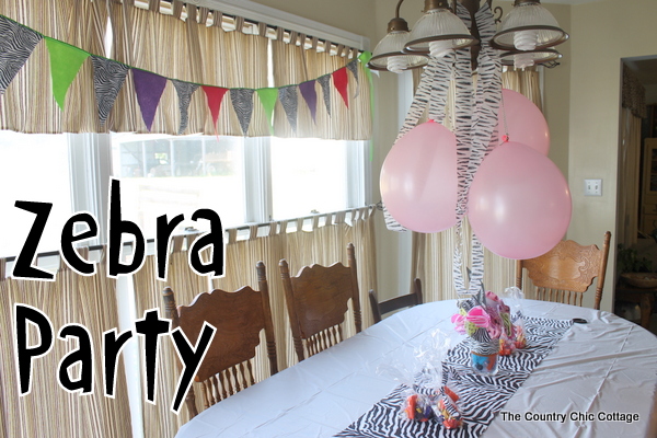 Zebra Themed Party