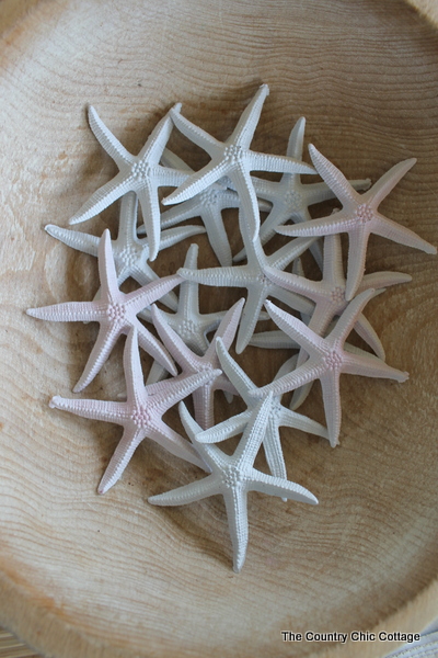 dollar tree starfish