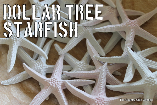 dollar tree starfish