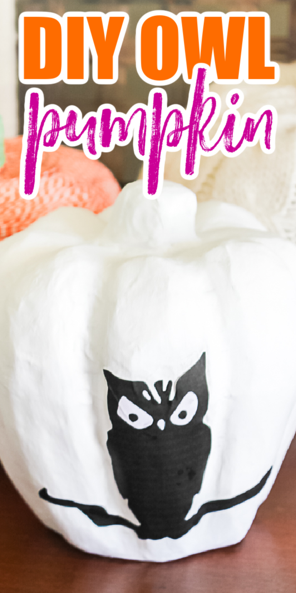 Learn how to make an owl pumpkin for your Halloween decor! This easy decoupage pumpkin craft is perfect for your home! #halloween #owl #pumpkin #pumpkincraft