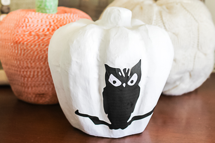 owl pumpkin