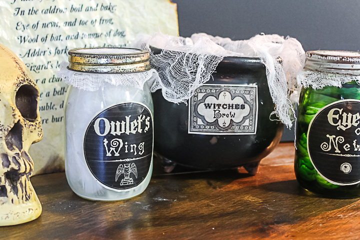 owlet's wing mason jar