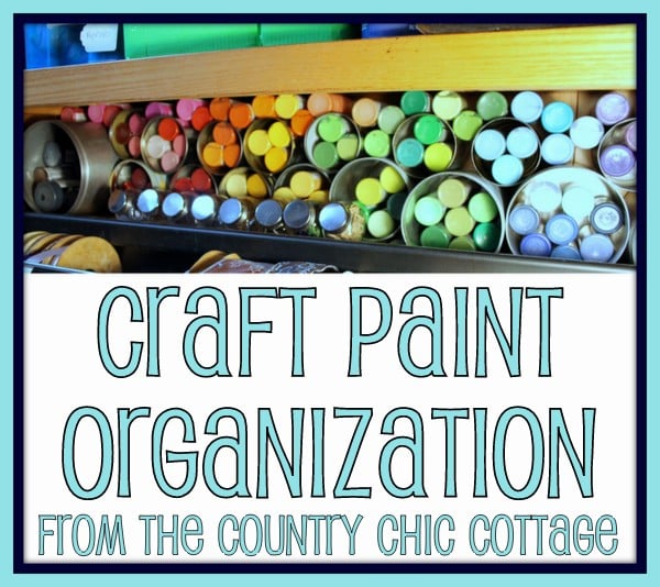 craft paint organization