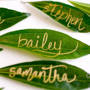 Easy Leaf Place Cards by Canapes and Soirees