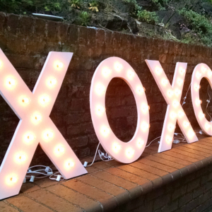 Large Marquee Letters for a Wedding by Crafting in the Rain