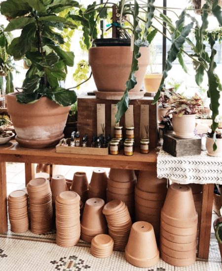 types of pots for plants