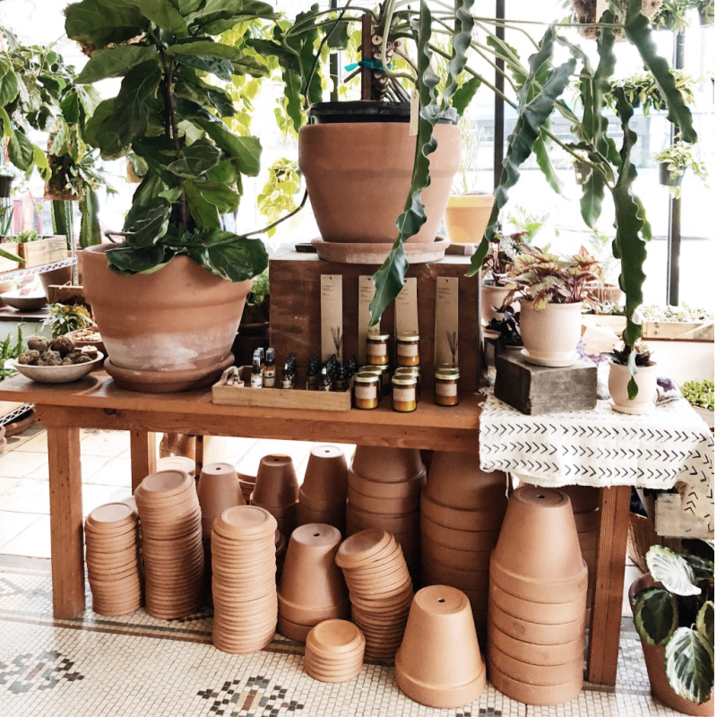 Types of Planters How to Choose the Right One Angie Holden The