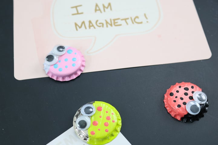 bug magnets