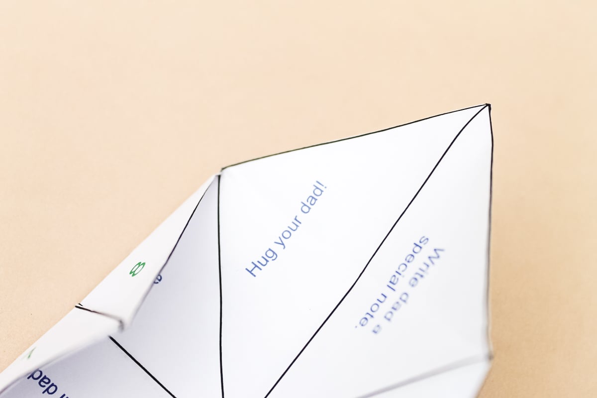 unfolded cootie catcher