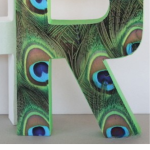 Pinterest Hidden Image