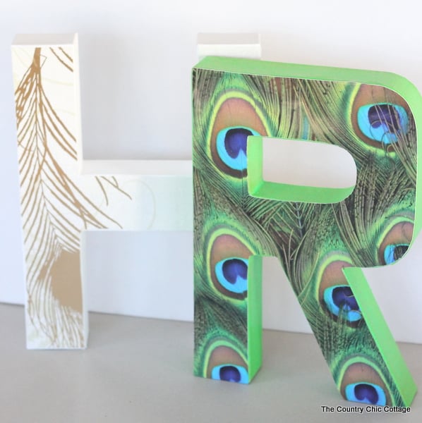 Still Life Monogram -- a copycat of the Anthropologie original but for a fraction of the price. If you love that Anthro look in your home you will want to check out this great DIY tutorial on how to make you own still life monograms. r monogram with peacock print