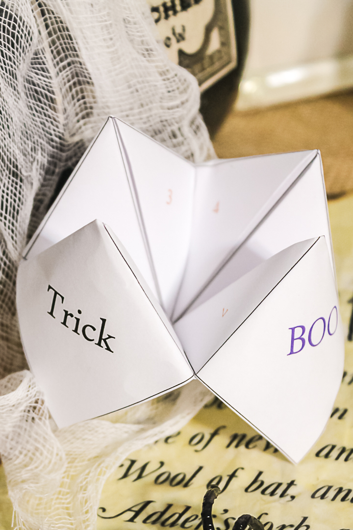 kids cootie catcher