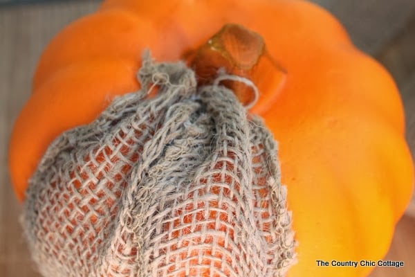Secure the burlap ribbon to the pumpkin at the stem and base of the pumpkin
