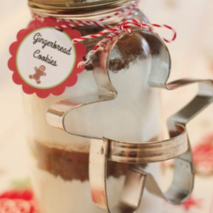 Gingerbread Cookies Mix by Thirty Handmade Days