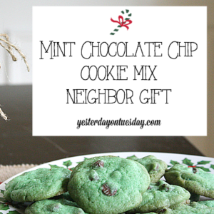 Mint Chocolate Chip Cookie Mix by Yesterday On Tuesday
