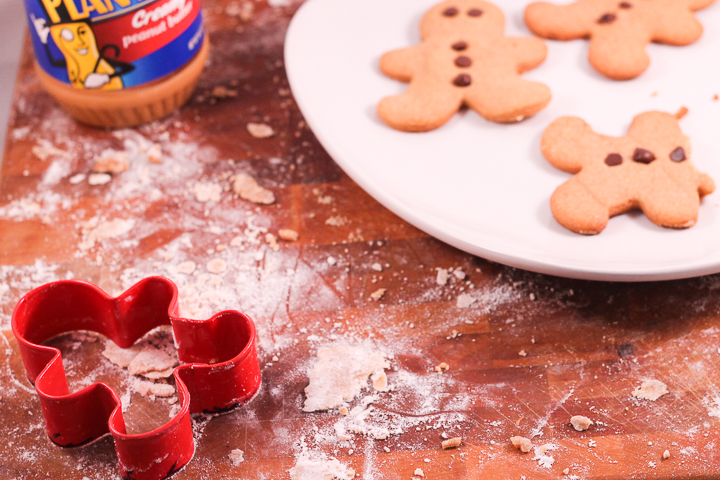 mild gingerbread cookie recipe